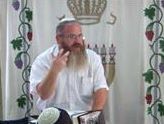 רב אייל גריינר