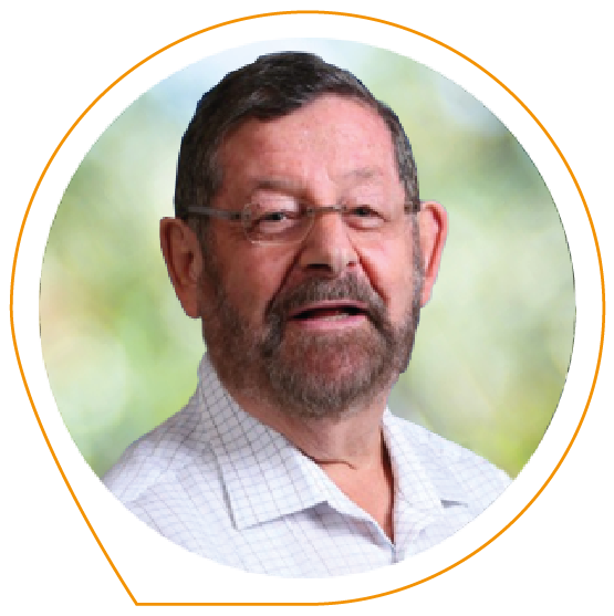 סולי סאקס