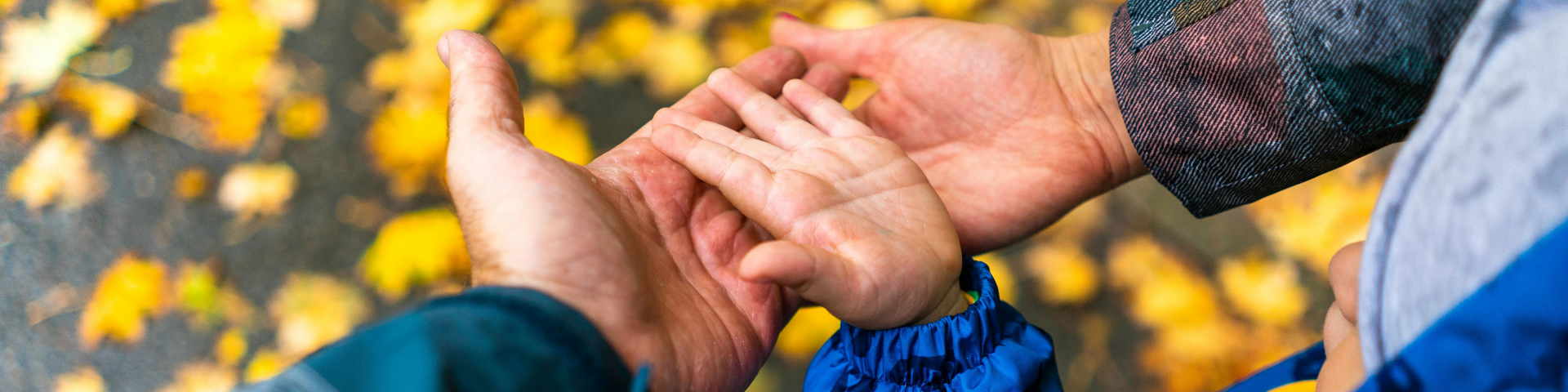 Legacy Banner for Programs NEW (3)