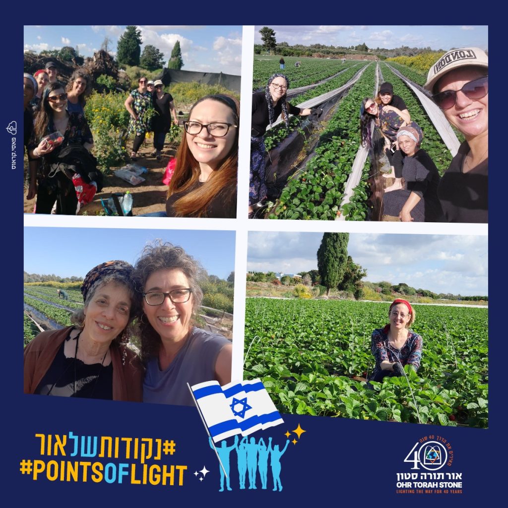 Points of Light Comforting and Giving Ohr Torah Stone